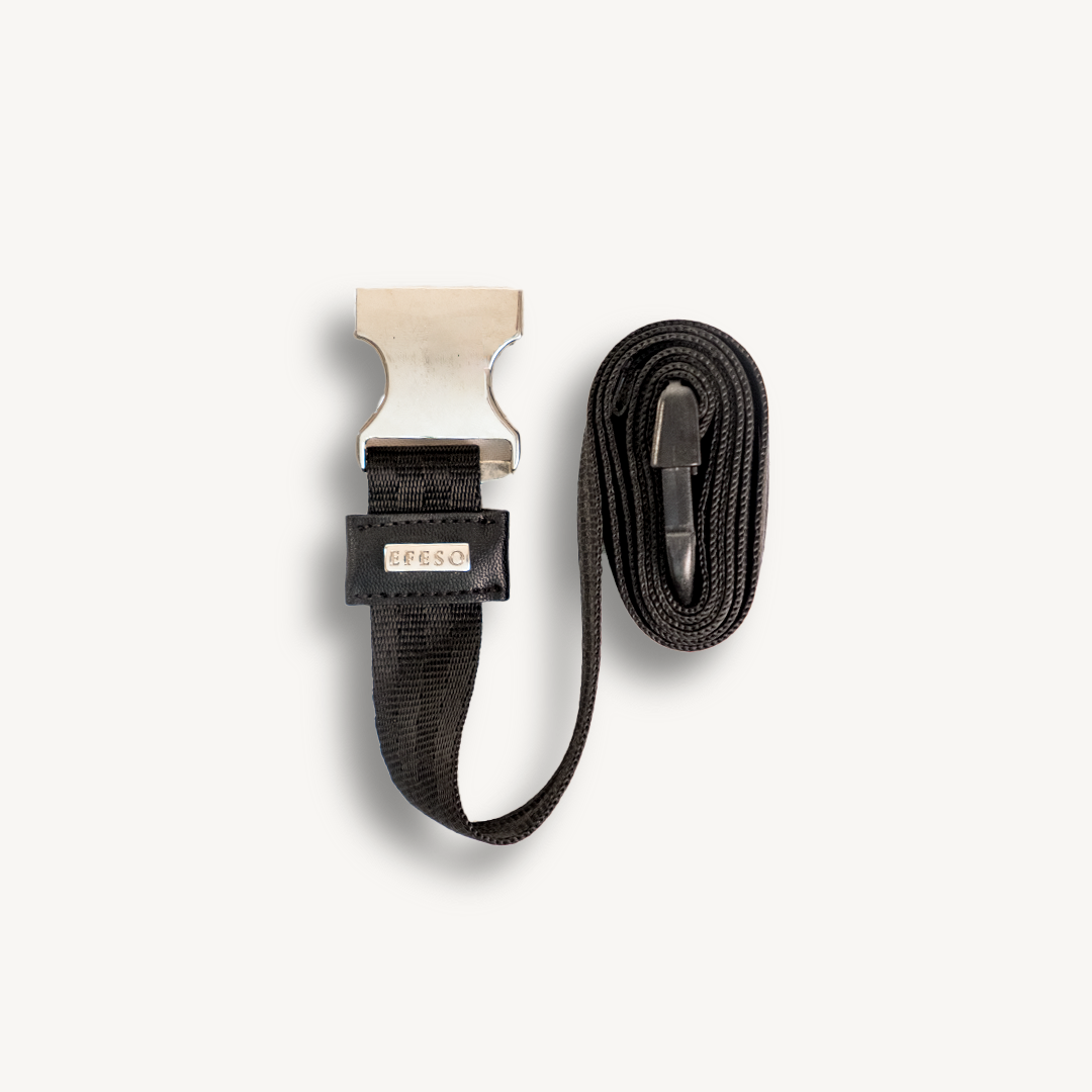 Cinturon Industrial EFESO