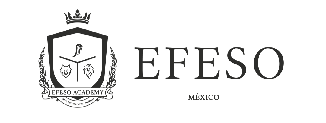 Products – EFESO México